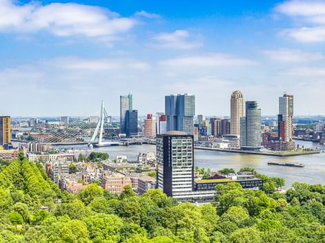 Panoramablick auf die Rotterdamer Skyline mit modernen Wolkenkratzern, Erasmusbrücke und Maas, eingerahmt von grünen Bäumen im Vordergrund.