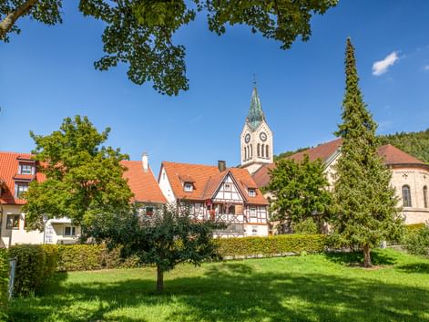 Blick auf Fridingens Altstadt mit traditionellen Häusern, roten Ziegeldächern und weißem Kirchturm. Grüne Wiese und Bäume rahmen die Szene.