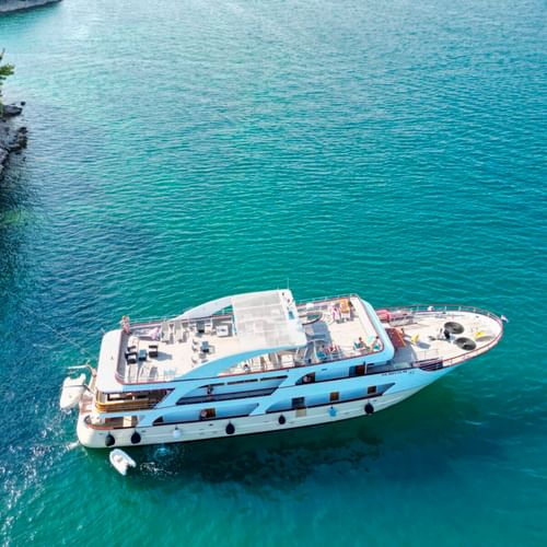 Aerial view of MS Olmissum, a white cruise ship with blue stripe, anchored in turquoise water near a green wooded shoreline.