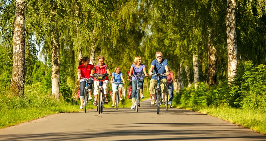 Gruppe von Radfahrern auf einem asphaltierten Weg durch eine Birkenallee. Grünes Gras und Laub säumen beide Seiten der sonnigen Radroute.