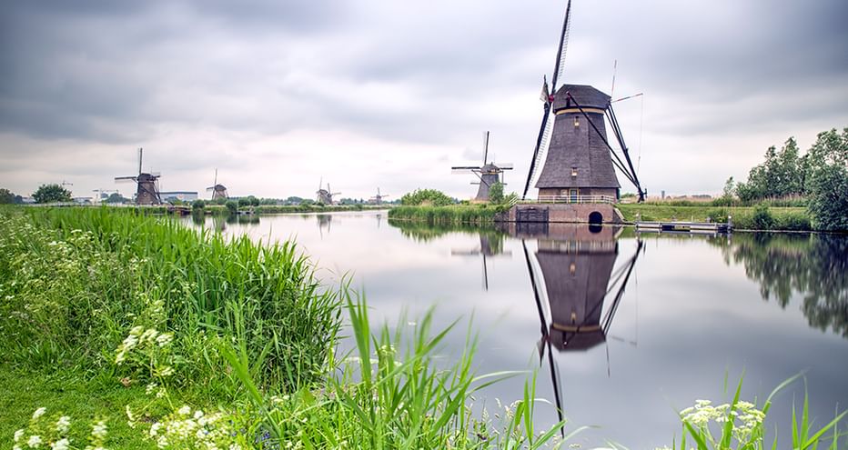 Traditionelle holländische Windmühlen entlang eines Kanals mit perfekten Spiegelungen im stillen Wasser. Grünes Gras und weiße Blumen säumen den Wasserweg unter bewölktem Himmel.