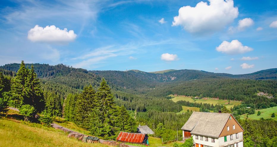 Traditionelles Bauernhaus auf einer Hangwiese in Feldberg, Schwarzwald, mit bewaldeten Bergen und blauem Himmel mit weißen Wolken im Hintergrund.