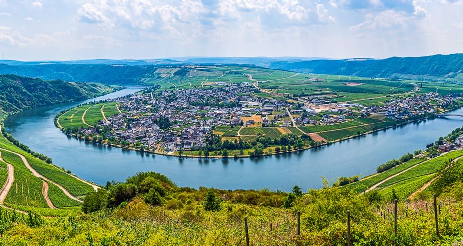 Luftaufnahme der Mosel, die eine Hufeisenschleife um eine Stadt bildet, umgeben von terrassierten Weinbergen an Hängen unter blauem Himmel.