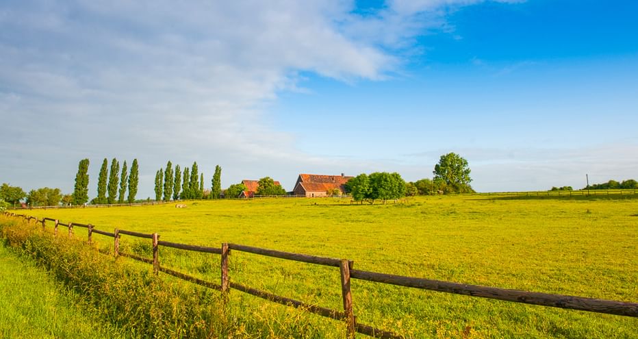 Sattgrüne Wiese mit Holzzaun im Münsterland. Bauernhäuser mit roten Dächern und hohe Pappeln im Hintergrund unter blauem Himmel.