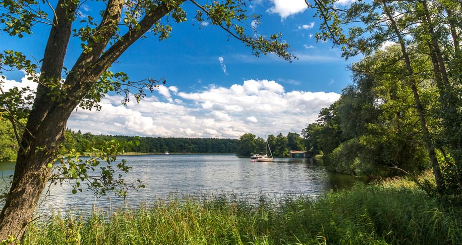 Ruhiger See in der Mecklenburgischen Seenplatte, eingerahmt von Bäumen, mit Segelboot auf dem Wasser. Blauer Himmel mit weißen Wolken.