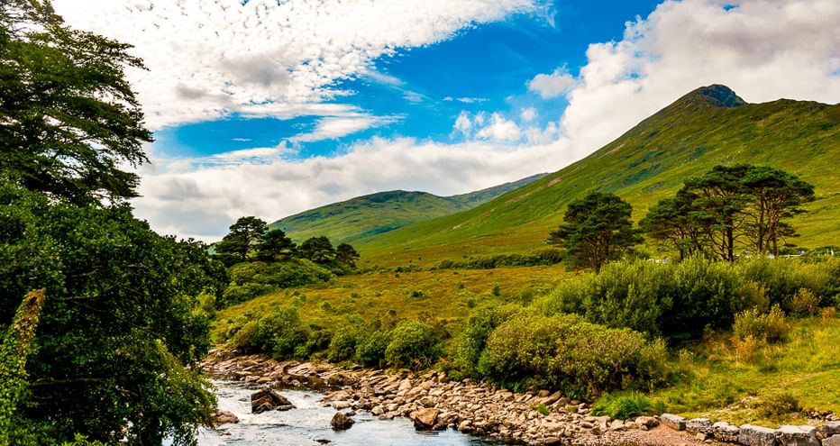 Steiniger Bach fließt durch grünes irisches Tal mit sanften Hügeln, vereinzelten Bäumen und blauem Himmel mit weißen Wolken in County Cork.
