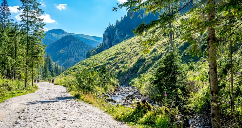 Geschotterter Radweg entlang des Dunajec-Flusses in Polen, mit bewaldeten Bergen und Felsklippen unter blauem Himmel.