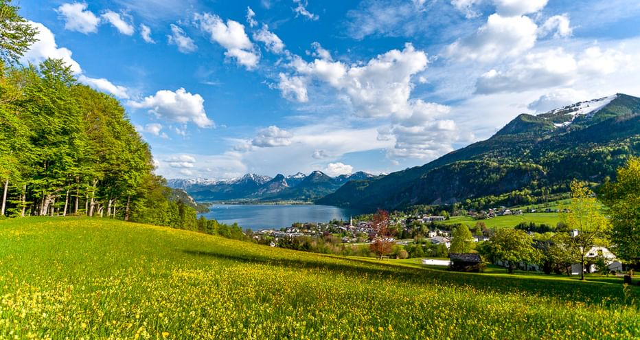 Gelb blühende Wiese im Salzkammergut mit Blick auf See, Dorf und schneebedeckte Berge unter blauem Himmel mit weißen Wolken.