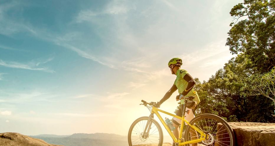 Radfahrer in grünem Trikot und Helm mit gelbem Mountainbike auf steinigem Aussichtspunkt mit Blick auf Tallandschaft mit Bäumen unter blauem Himmel.