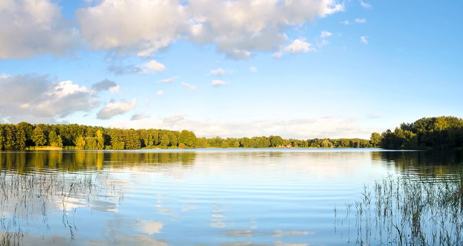 Ruhiger See mit spiegelglatten Reflexionen von Wolken und Himmel. Dichter grüner Wald säumt beide Ufer unter blauem Himmel mit weißen Wolken.