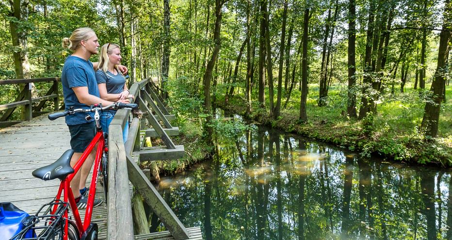 Zwei Radfahrer mit roten Fahrrädern stehen auf einer Holzbrücke über einem ruhigen Waldbach im Spreewald, umgeben von grünen Bäumen.