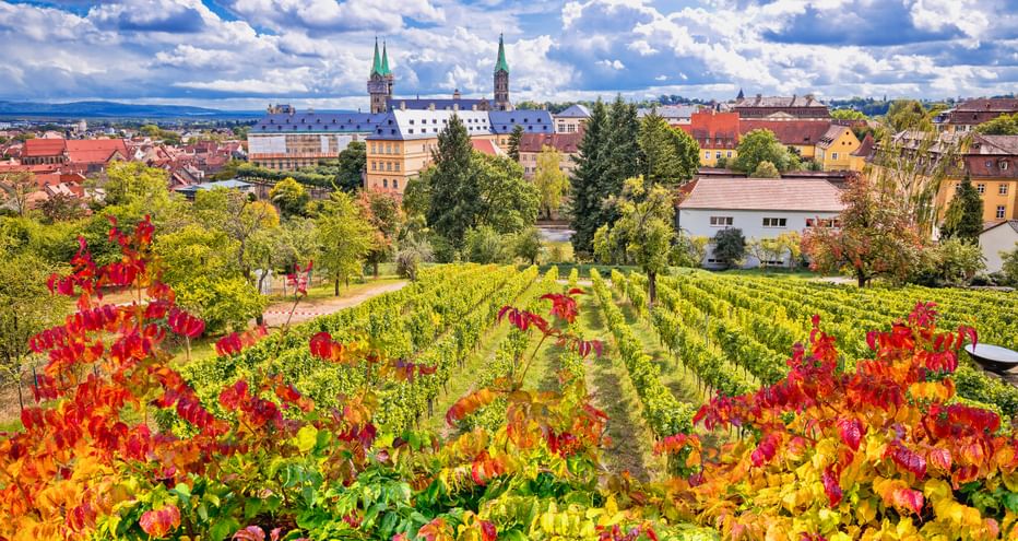 Bunter Herbstweinberg im Vordergrund mit Bambergs historischer Altstadt und Domtürmen unter blauem Himmel mit weißen Wolken.