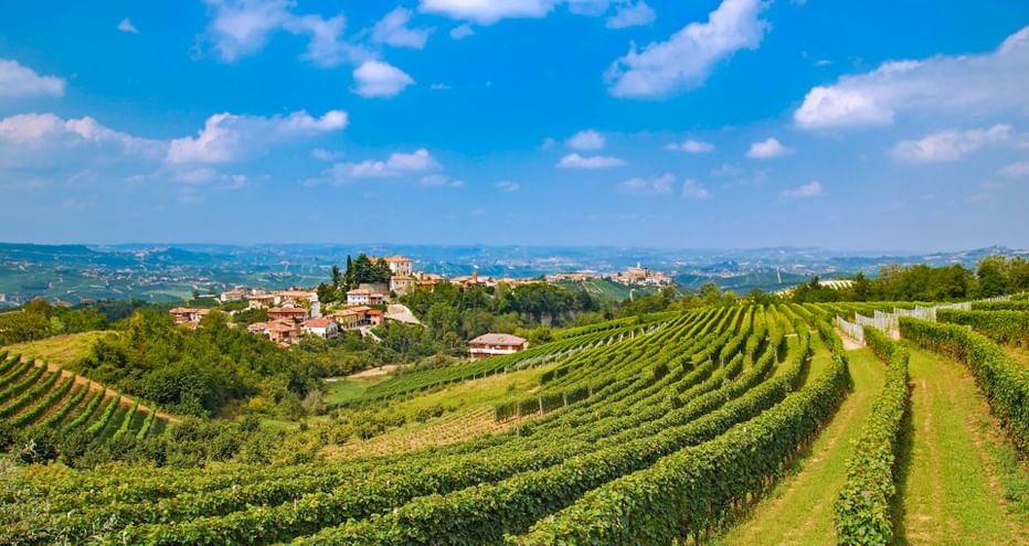 Hügelige Weinberge im Piemont mit ordentlichen Reihen von Rebstöcken. Ein Hügeldorf mit Steingebäuden überblickt die grüne Landschaft unter blauem Himmel.
