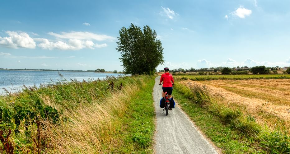 Radfahrer in roter Jacke auf asphaltiertem Weg zwischen Küstengewässer und abgeernteten Feldern unter blauem Himmel in Fünen, Dänemark.