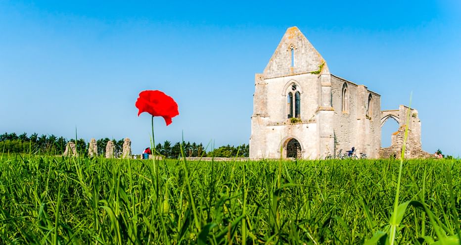 Einzelne rote Mohnblume in grünem Feld mit historischer Kirchenruine im Hintergrund unter blauem Himmel bei La Rochelle, Frankreich.