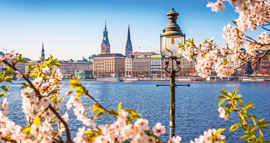 Blick auf die Hamburger Binnenalster mit rosa Kirschblüten und historischer Laterne. Stadtsilhouette mit Kirchtürmen über dem Wasser.