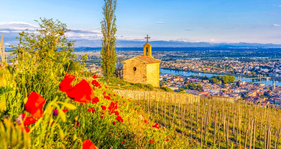 Chapelle Saint-Christophe mit Kreuz auf Hügel über Tain-l'Hermitage. Rote Mohnblumen blühen zwischen Weinbergen mit Flusstal darunter.