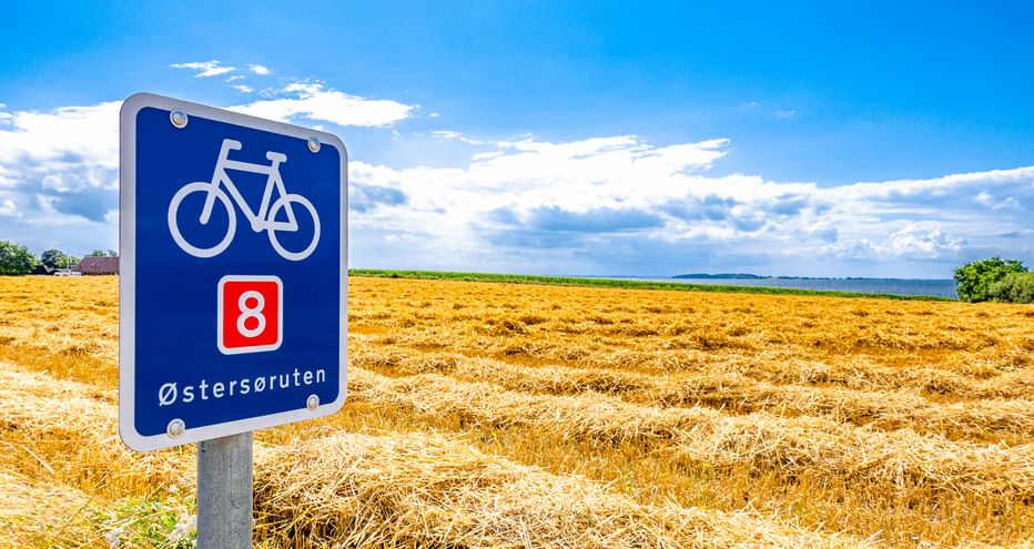 Blaues Radwegschild mit Nummer 8 und Østersøruten neben einem goldenen abgeernteten Feld mit Meerblick unter blauem Himmel auf Fünen, Dänemark.
