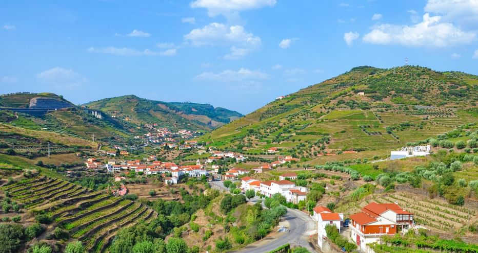 Dorf mit weißen Häusern und roten Dächern inmitten der terrassierten Weinberge des Douro-Tals. Eine kurvenreiche Straße führt durch grüne Hügel.