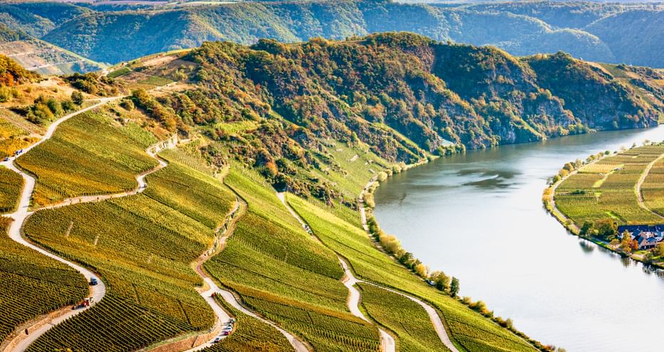 Luftaufnahme terrassierter Weinberge in Piesport entlang einer Moselschleife, umgeben von bewaldeten Hügeln unter bewölktem Himmel.