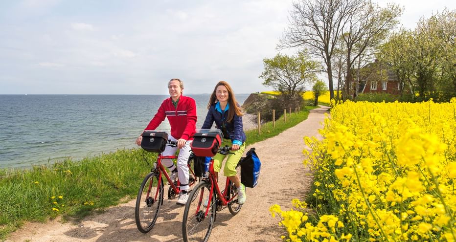 Zwei Radfahrer auf einem Schotterweg zwischen der Ostsee und leuchtend gelben Rapsfeldern bei Travemünde, mit Bäumen und einem Gebäude im Hintergrund.